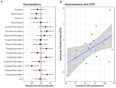 Impact of Chronic Kidney Disease on Brain Structure and Function